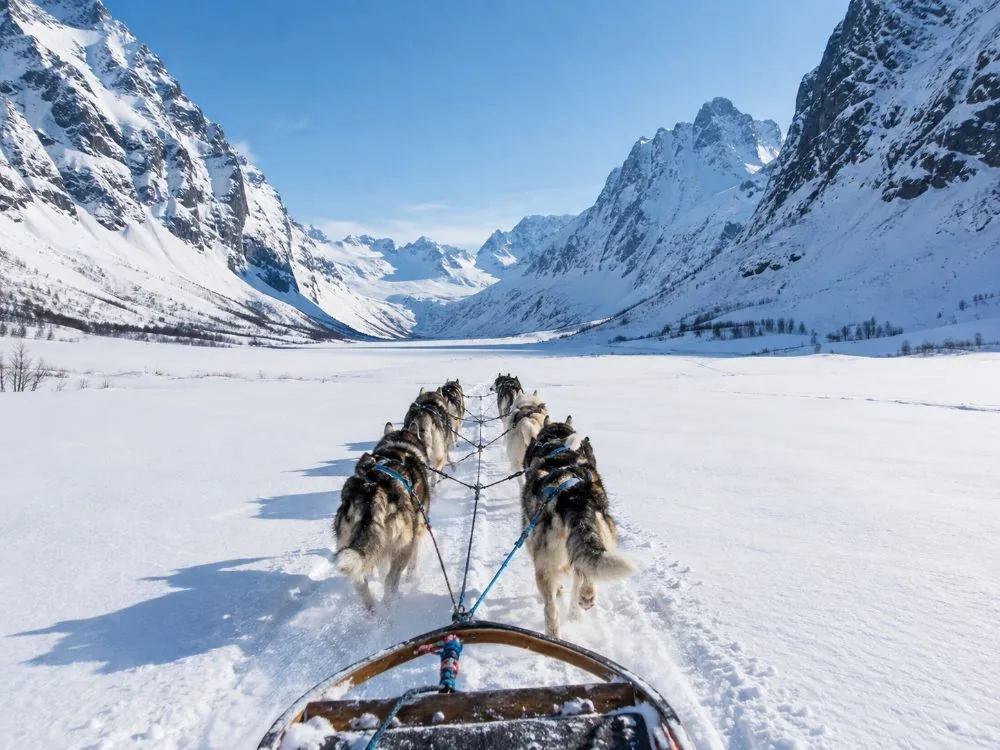 Aventure de traîneau à chiens à Tamokdalen