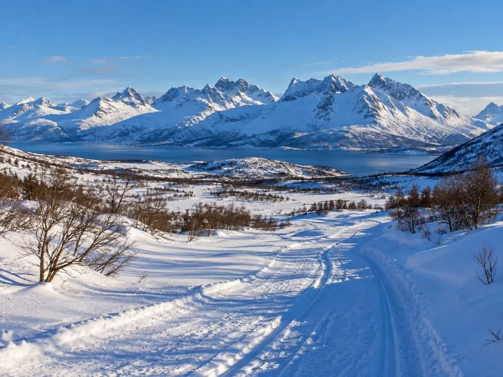 Les Alpes de Lyngen à l'horizon derrière un sentier enneigé